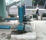 como apostar na nba sporting bets